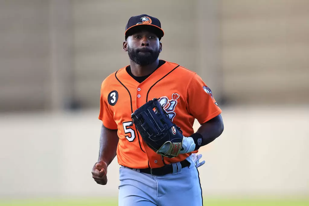 大西洋獨立聯盟球隊長島鴨今天宣布布萊德利（Jackie Bradley Jr.）已被紐約大都會買斷。法新社