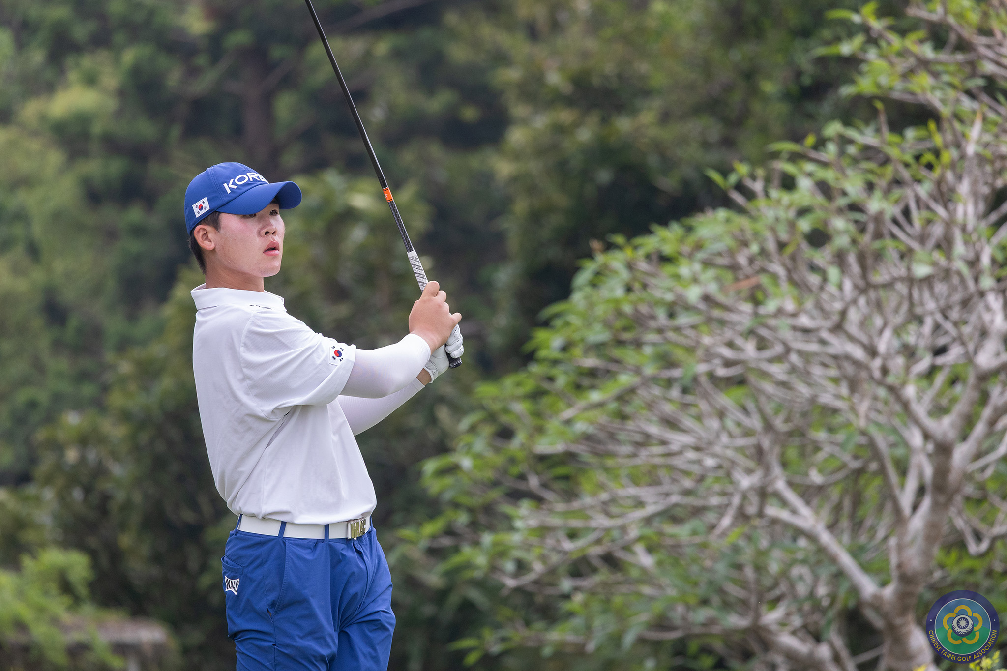 安成賢則以200桿（66 65 69），4桿優勢保持領先。大會提供