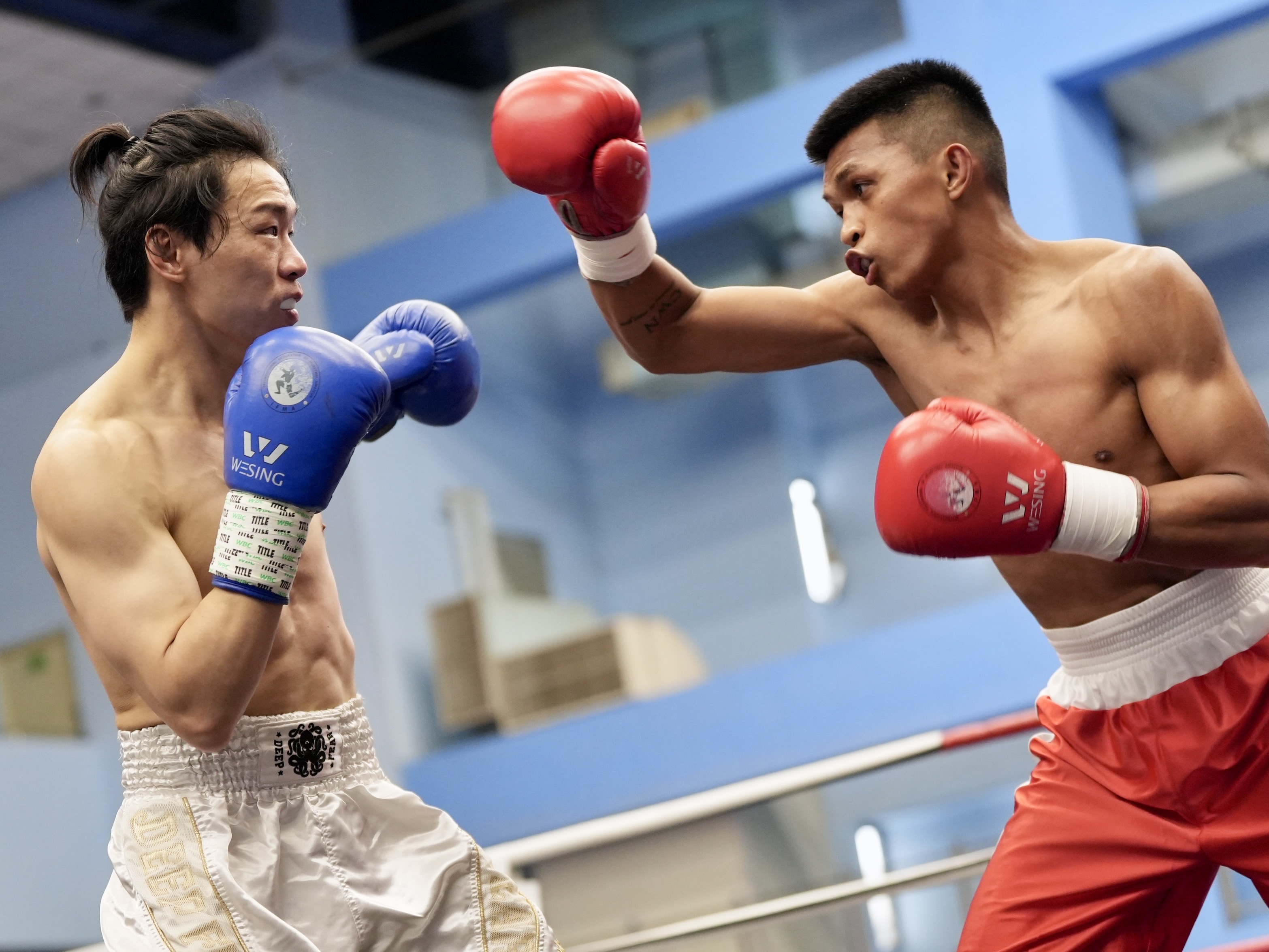 台港拳王賴主恩、袁文俊今天在臺北市青年盃暨全國職業拳擊菁英錦標賽交手。台灣職業拳擊協會提供