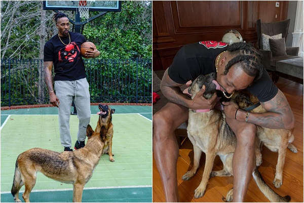 「魔獸」霍華德(Dwight Howard)的愛犬比利時牧羊犬「週日(Sunday),日前竟被撞死。摘自霍華德IG