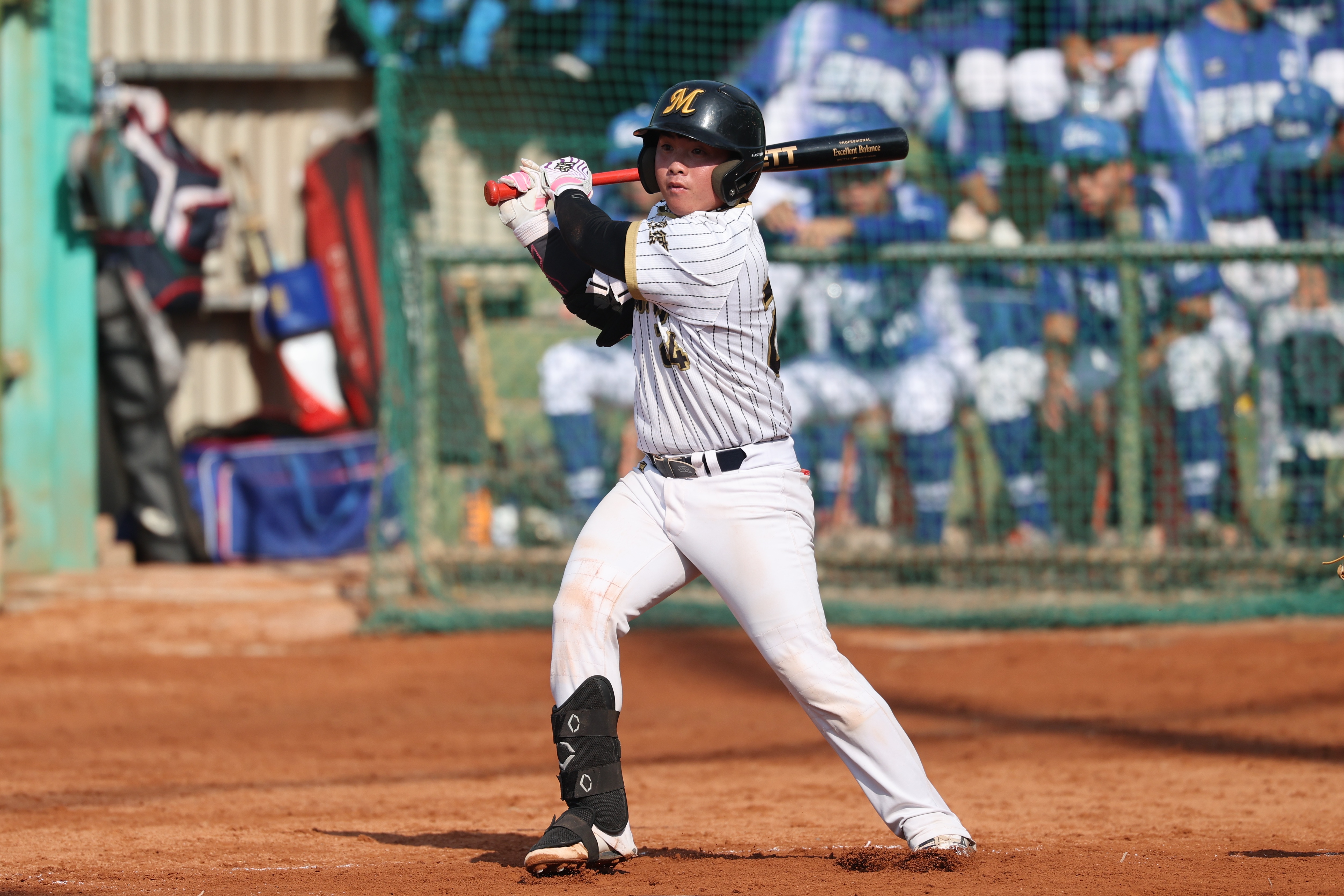 林翰賢單場雙安。大專體總提供