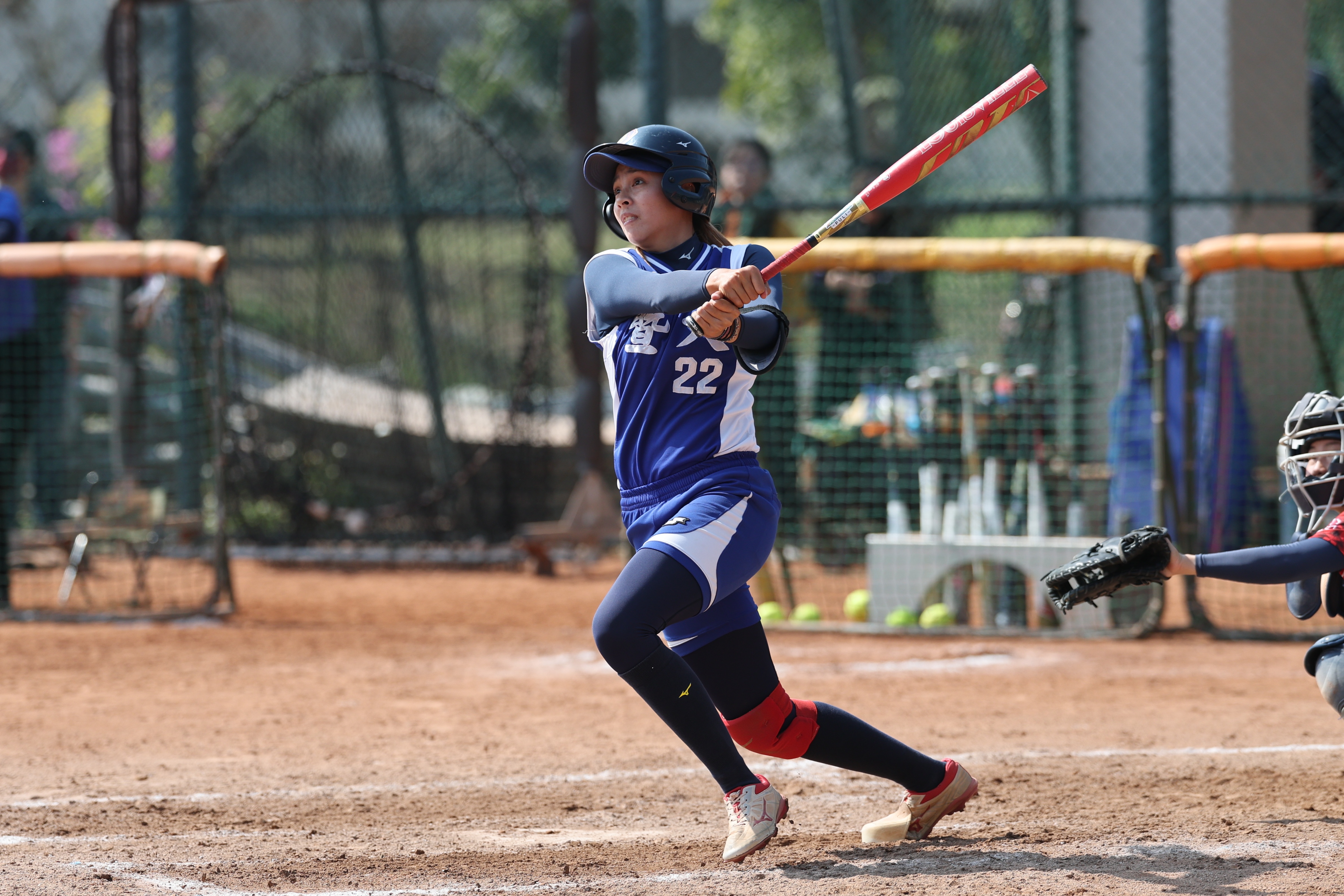 葉好芳陽春彈。大專體總提供