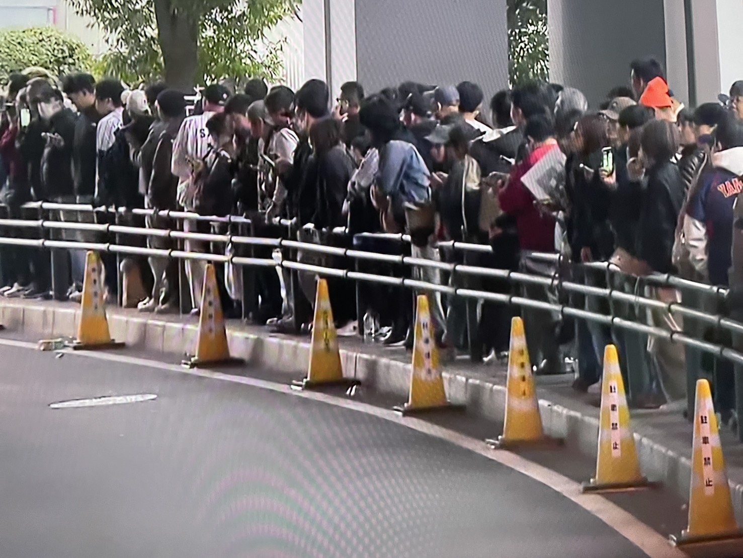 日本球迷擠爆京瓷巨蛋。取自Miyazaki Broadcasting