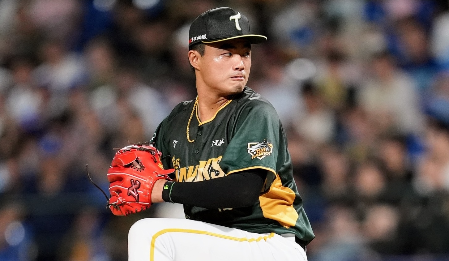 施子謙。台鋼雄鷹提供