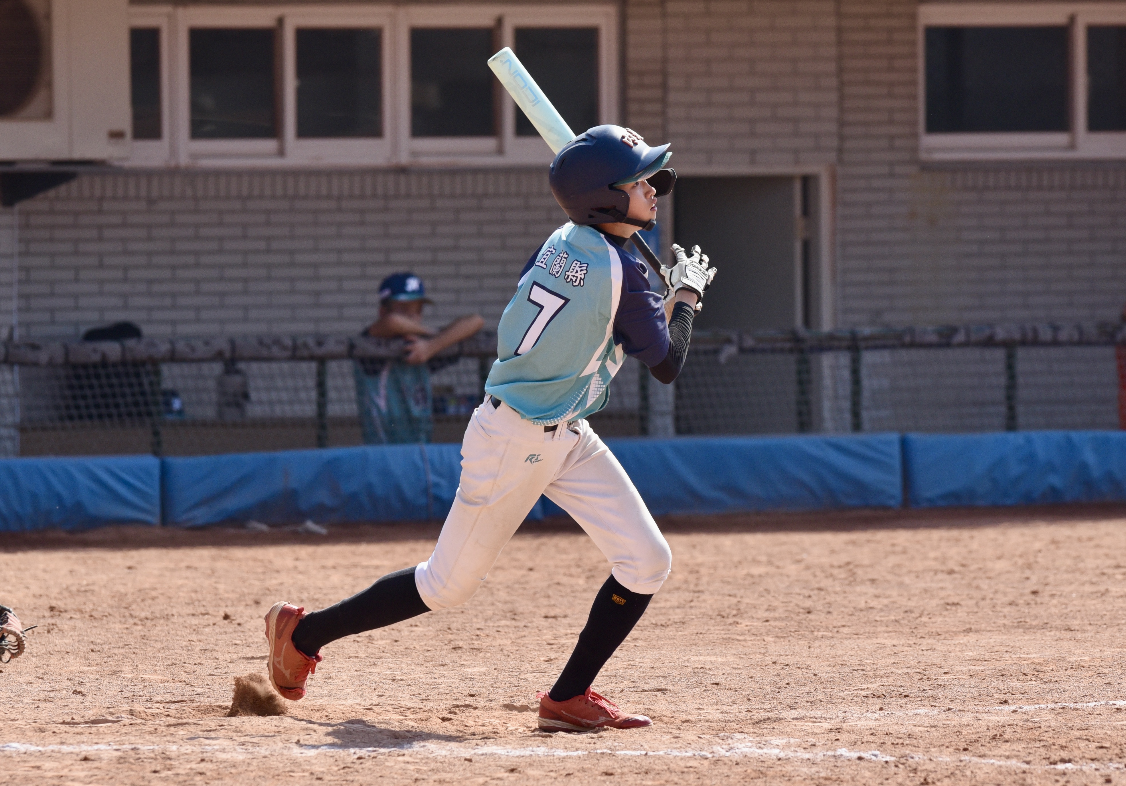 趙品丞再見安打立功。臺灣世界少棒聯盟提供