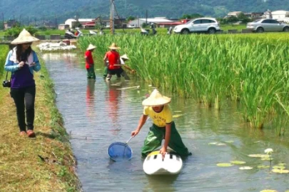 衝浪不一定要到海邊，田間也可以衝浪(圖片為示意圖，來源來自棗健康有機園地)