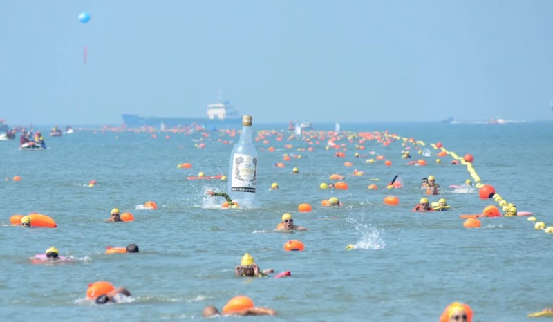 搶灘料羅灣長泳活動計有3150人湧入,讓料羅灣再次掀起夏日海泳熱潮。(主辦單位提供)