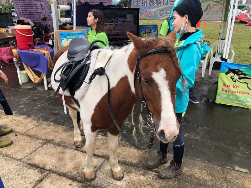 圖4:台北市為推廣馬術運動,嘉年華區設有迷你馬騎乘體驗。