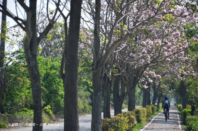 路線騎經多處珍珠景點,將帶車友走訪第一條全國最長,且兼具生態與環保意義的朴子溪自行車道。