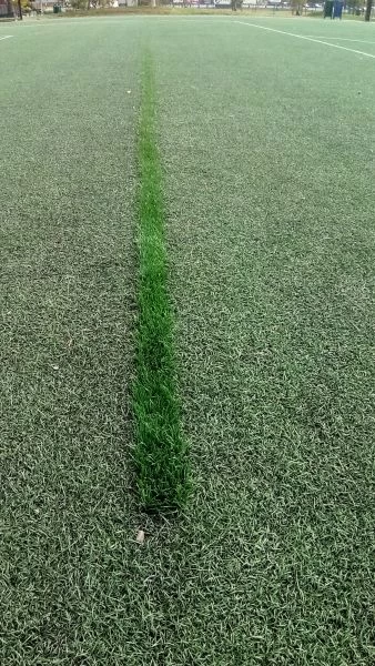 人工草坪修補情況。