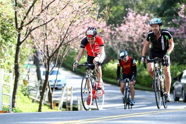 扶輪盃北海櫻木花道自行車挑戰沿途美不勝收。林嘉欣/攝影。