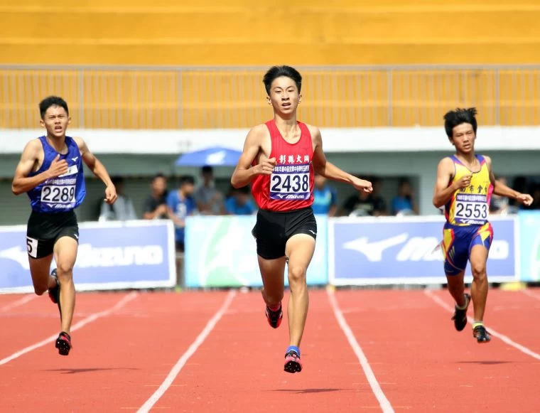林嘉欣/攝影。