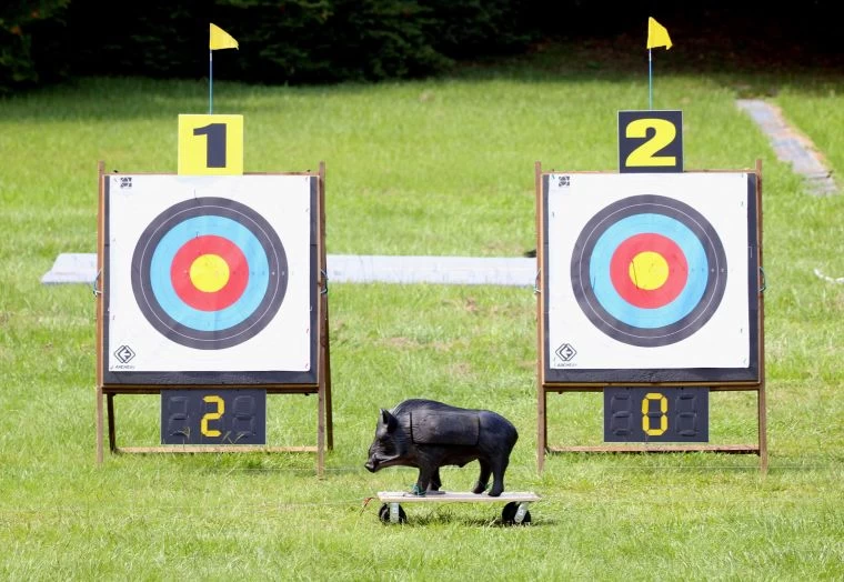 I Archery教練進擊盃射箭賽特有的山豬靶。I ARCHERY射箭弓場／提供。