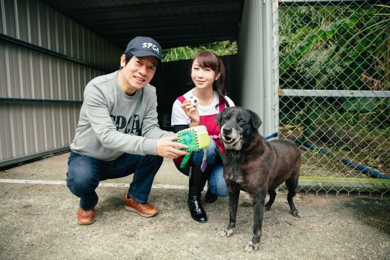 副總統賴清德(左)與台北市議員許淑華至新北市瑞芳區動物之家擔任一日志工,與所內待領養狗狗互動。台灣防止虐待動物協會提供