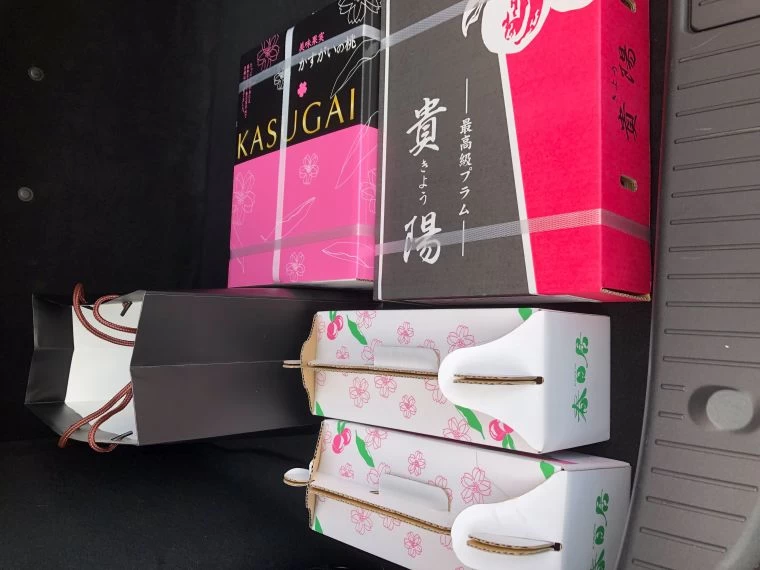 駐日代表和台商特別送來的山梨縣的當季水果。劉金峯提供