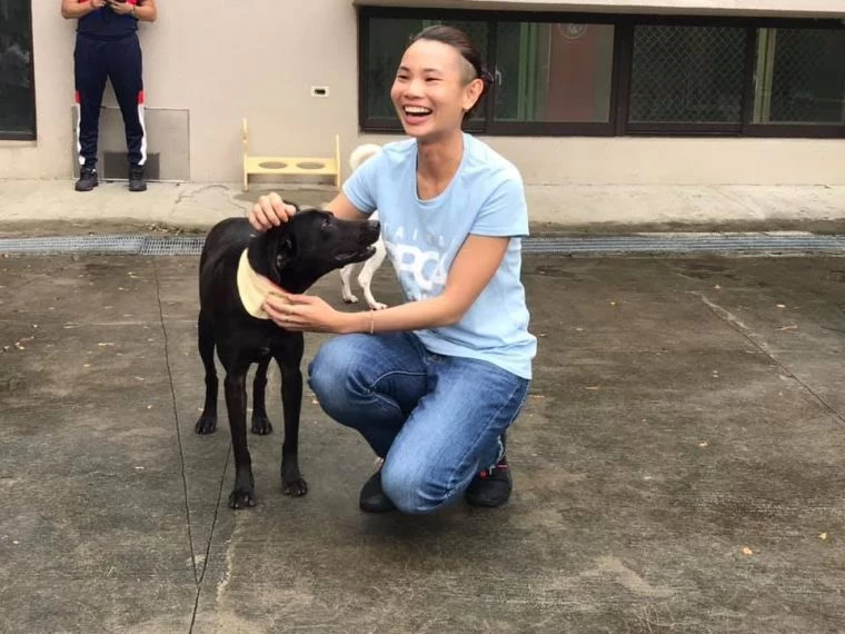 戴資穎和收容所裡的狗明星黑糖玩得很開心。摘自高雄市動物保護處粉絲團