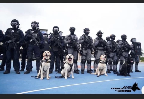 新北市政府警察局警犬隊將現身台啤英熊3月5日英熊求歐趴主場。大會提供