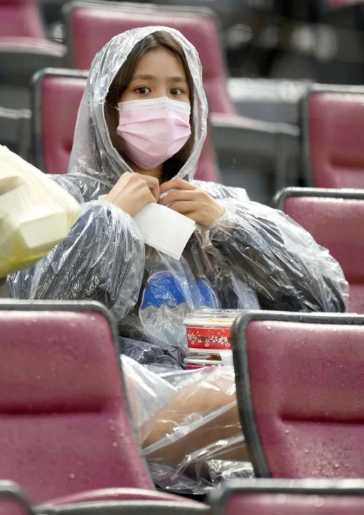 球場正妹。球關注提供