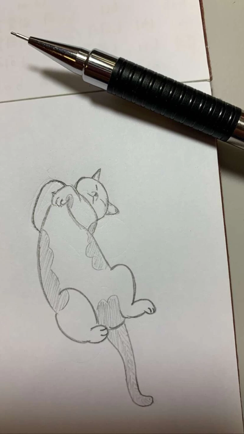 邱意晴則是透過畫畫讓自己放鬆,把腦中想到的畫面透過簡單的素描記錄下來。官方提供