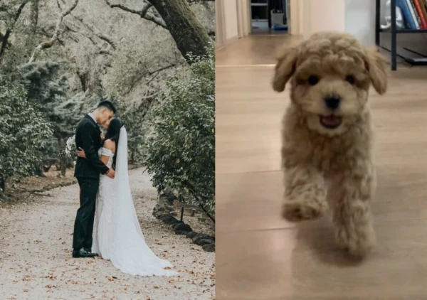 林書豪今年有老婆和兒子陪他過年。取自jlin7 IG