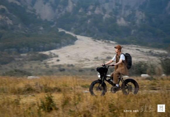在崎嶇（OFF-ROAD）路面也可以透過不同胎面來加強抓地力與穩定性。官方提供