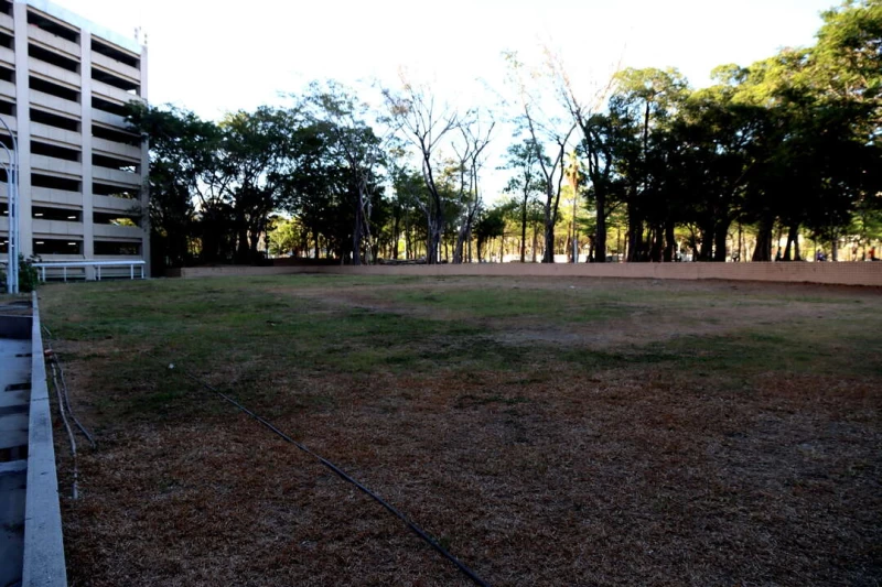 .鹽埕羽球館基地坐落於鹽埕區公所後方，大智路及大仁路交叉處（二二八和平公園內）。 運動發展局提供