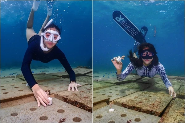最美麗浪花母女檔陳美彤(右)與陳宥蓁共同攜手守護海洋生態。合成照片