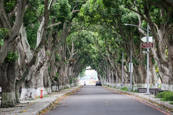 第一屆蔬跑盃的主場地。官方提供