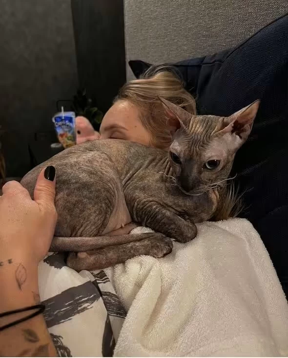 這隻無毛貓陪伴萬卓索娃走過手術低潮。摘自@marketavondrousova