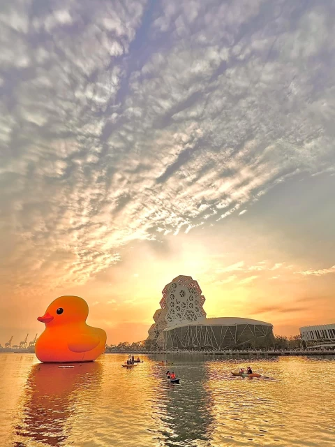 水上共划和鴨鴨一起共享夕陽餘暉。高雄市運動發展局/提供