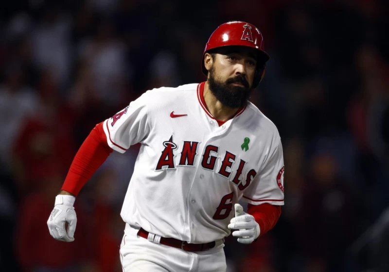 洛杉磯天使當家三壘手倫登（Anthony Rendon）。法新社