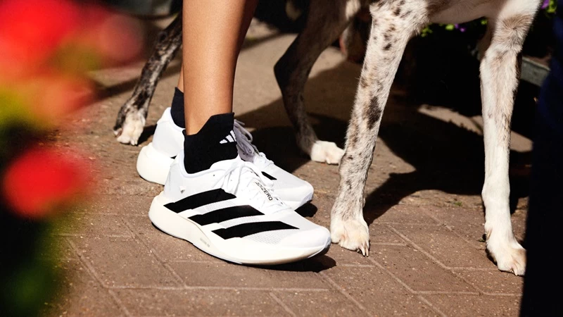 採用Lightstrike Pro革新中底科技 Adidas Adizero Evo Sl打造性能與美學的完美平衡。官方提供