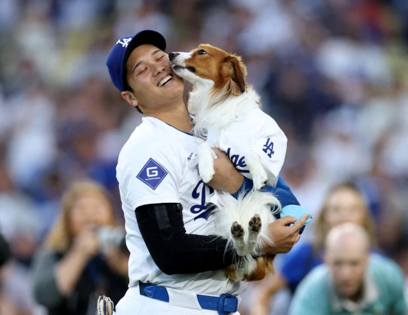 大谷翔平與愛犬Decoy的互動也相當吸引球迷的目光。法新社