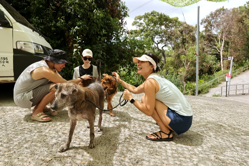 孟薇經常發起陪伴流浪貓犬，展現愛心。特約記者 郭運復攝