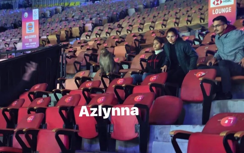 誇張！印度公開賽體育館內竟有猴子看比賽。摘自推特