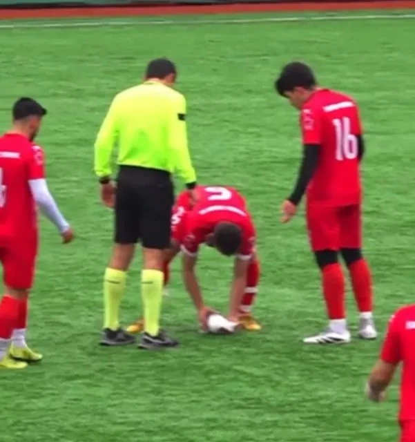 土耳其球員在球場上對海鷗進行CPR。摘自推特