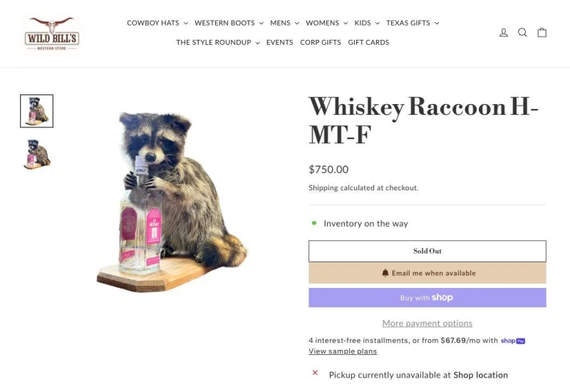 哈蘭德帶回挪威的「威士忌浣熊H-MT-F」(Whiskey Raccoon H-MT-F)。摘自推特